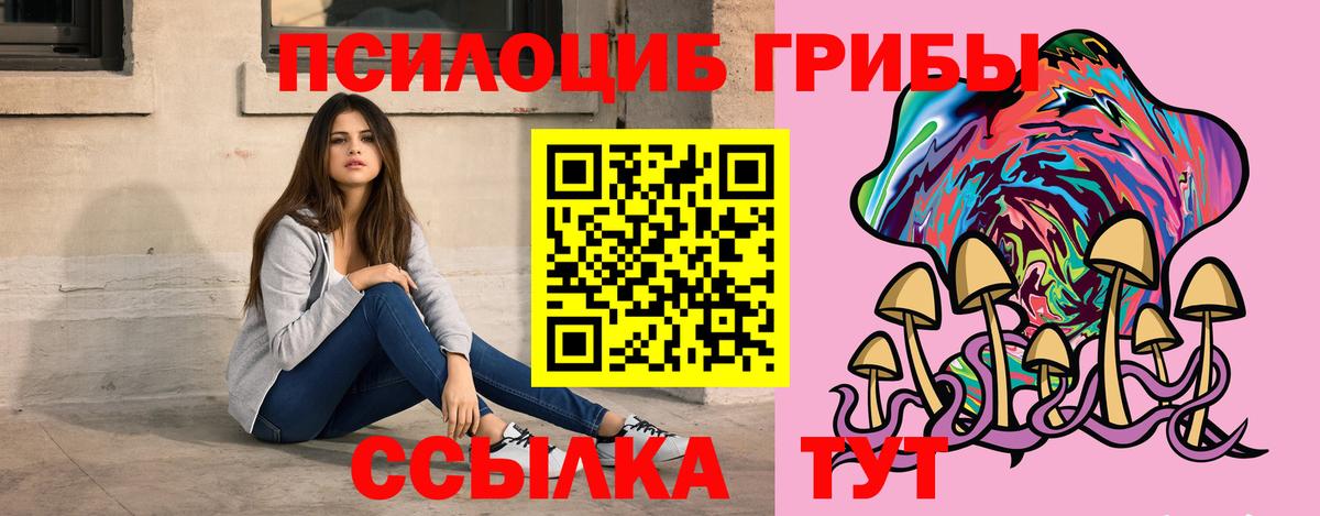 Псилоцибиновые грибы Psilocybe Шебекино